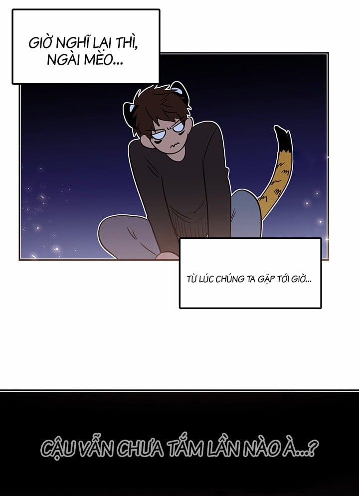 Chàng Mèo Trong Hộp Carton 9 trang 19