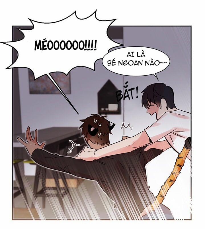 Chàng Mèo Trong Hộp Carton 9 trang 24