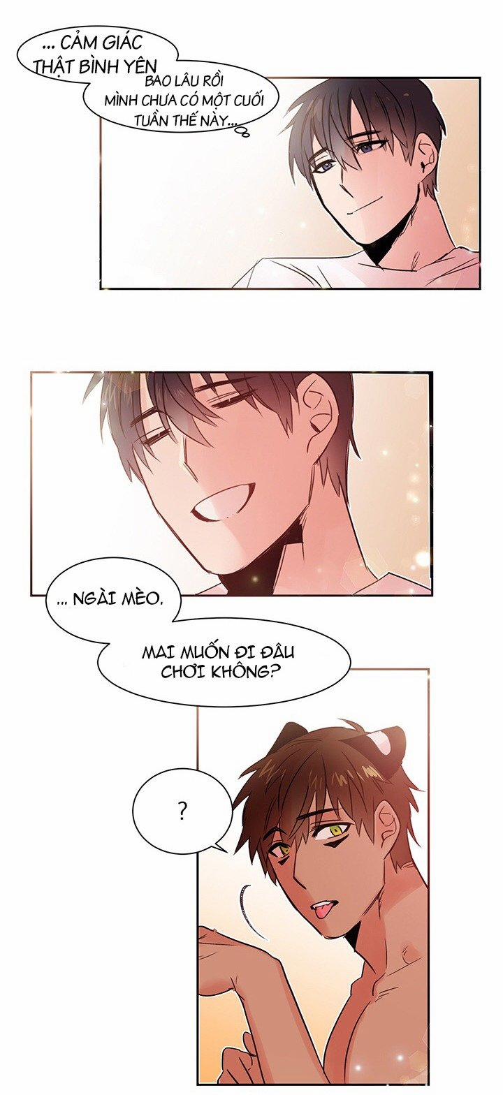 Chàng Mèo Trong Hộp Carton 9 trang 38