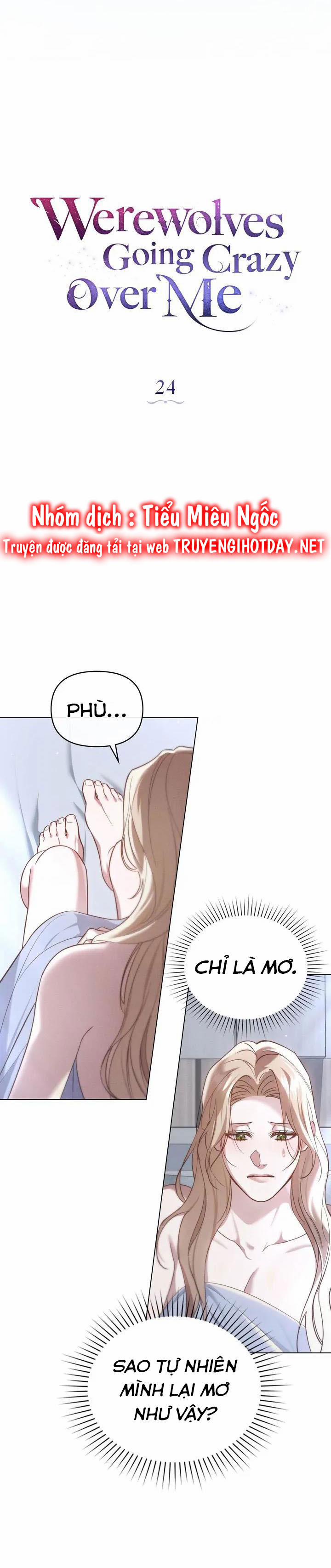 Chàng Người Sói Phát Điên Vì Tôi 24 trang 8