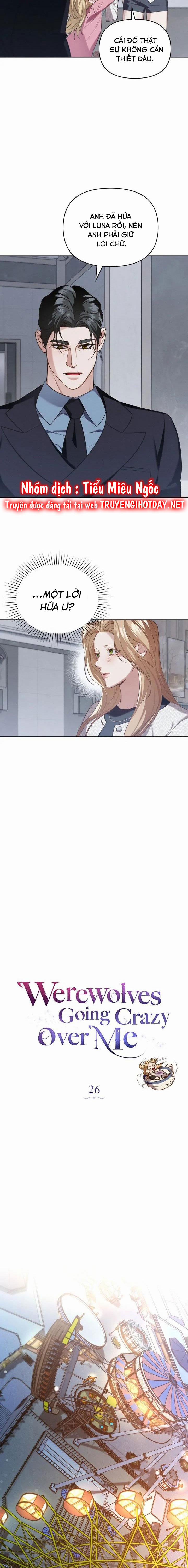 Chàng Người Sói Phát Điên Vì Tôi 26 trang 5