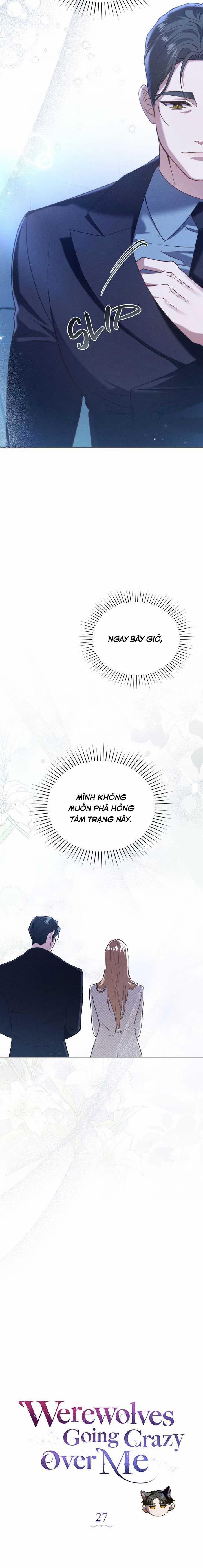 Chàng Người Sói Phát Điên Vì Tôi 27 trang 6