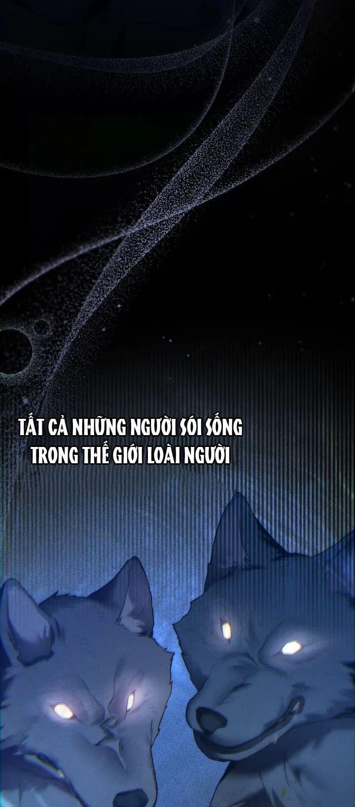 Chàng Người Sói Phát Điên Vì Tôi 30 trang 38