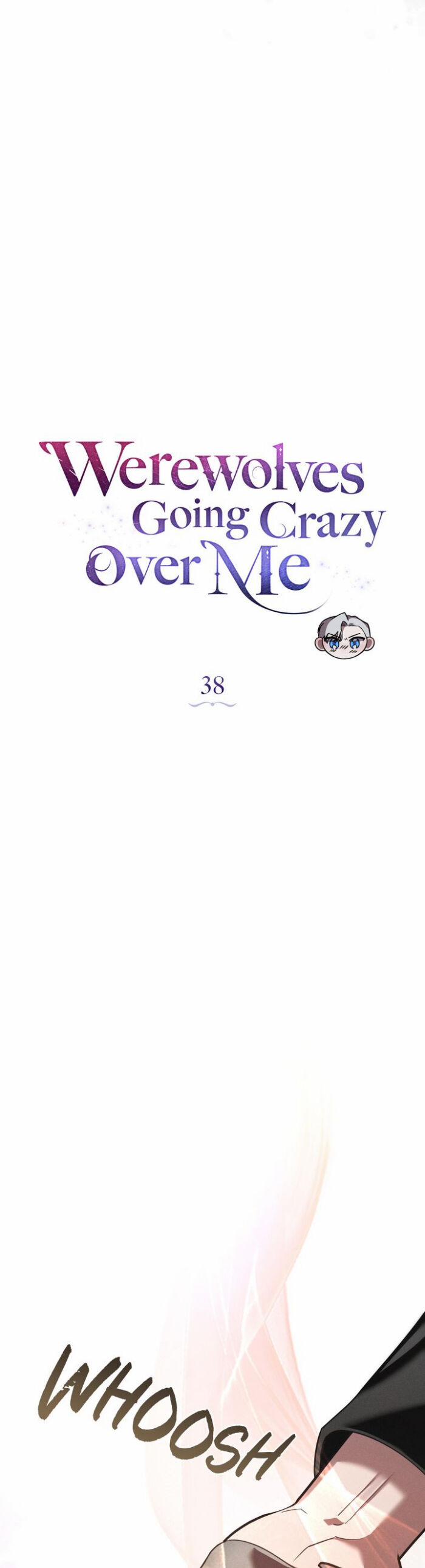 Chàng Người Sói Phát Điên Vì Tôi 38 trang 13