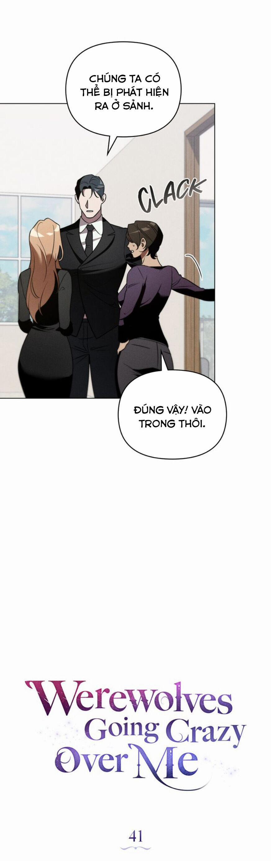 Chàng Người Sói Phát Điên Vì Tôi 41 trang 16