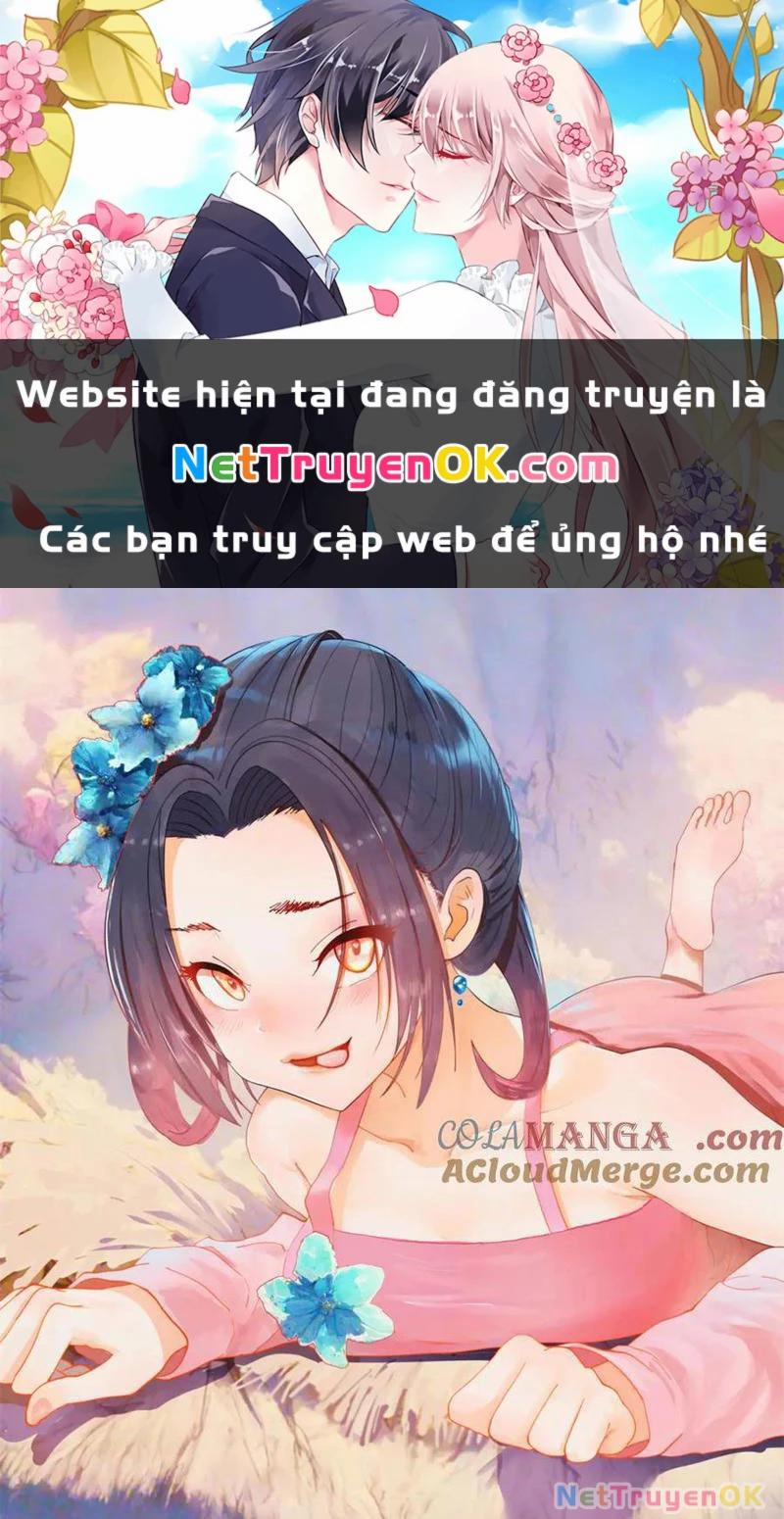 Chàng Rể Mạnh Nhất Lịch Sử 249 trang 0