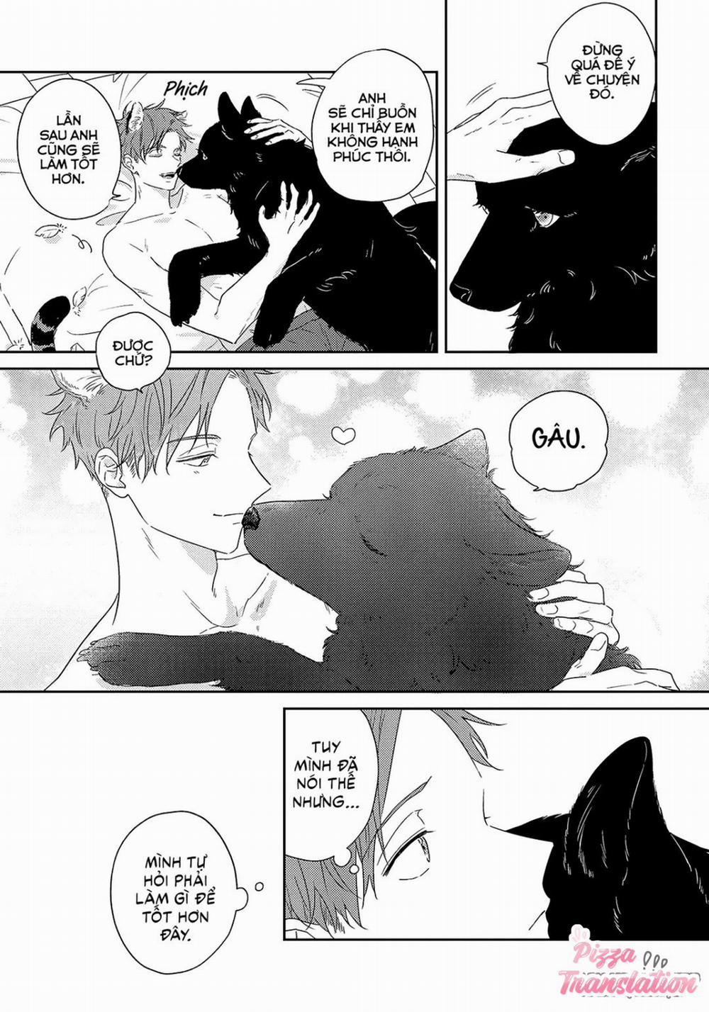 Chàng Sói Không Thể Che Giấu Tình Cảm 3 trang 4