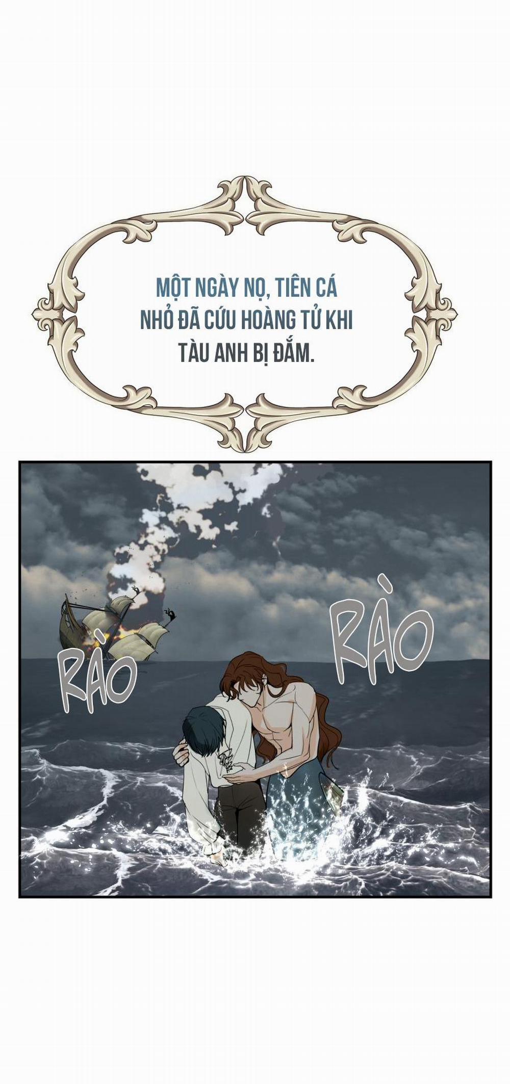 Chàng Tiên Cá Và Hoàng Tử 1 trang 2