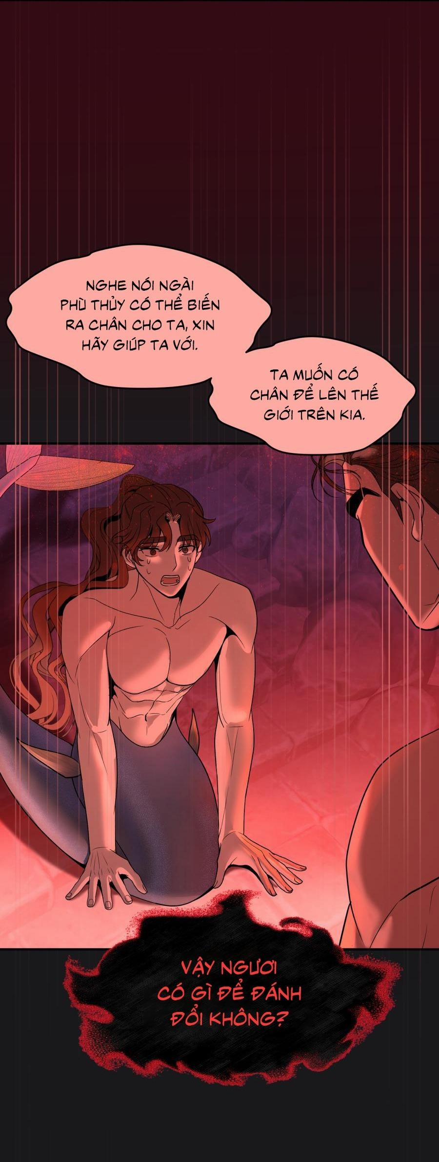 Chàng Tiên Cá Và Hoàng Tử 2 trang 3