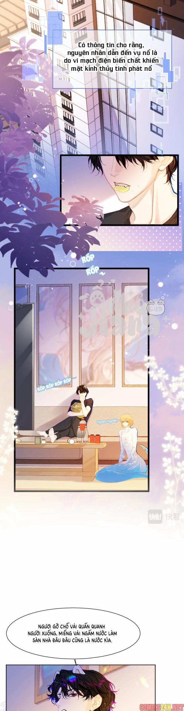 Chàng Tiên Cá 2 trang 12