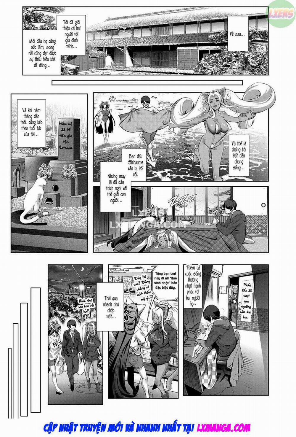 Chàng trai gặp gỡ miêu thần 4 - END trang 21