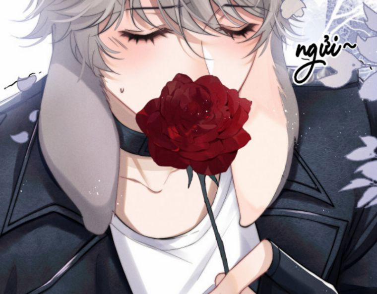 Chấp Sự Thỏ Cụp Tai 1 trang 53