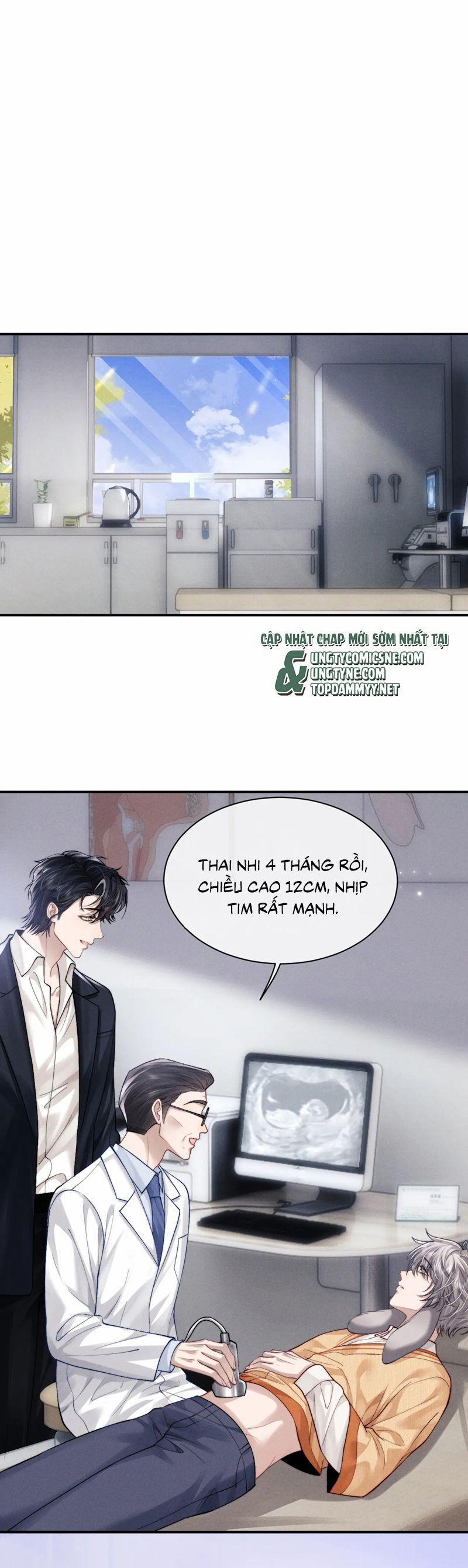 Chấp Sự Thỏ Cụp Tai 141 trang 1