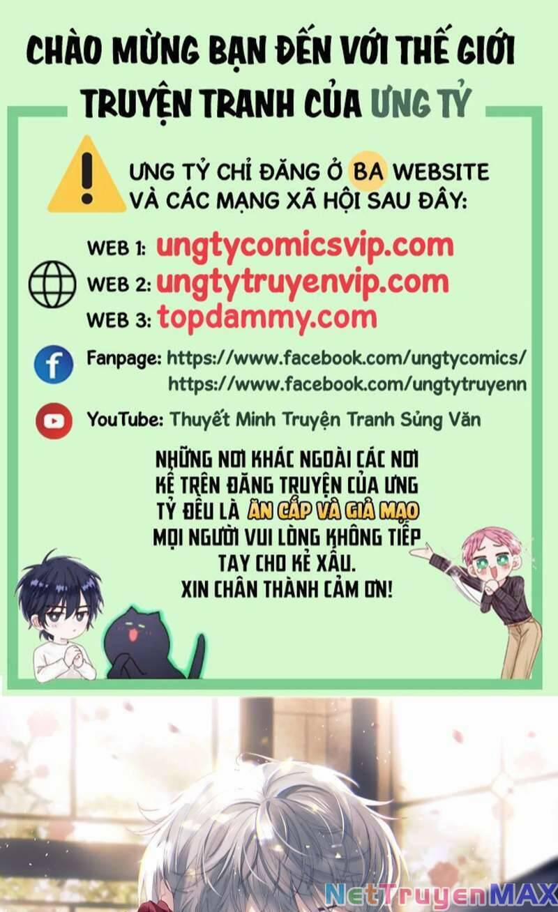 Chấp Sự Thỏ Cụp Tai 64 trang 0