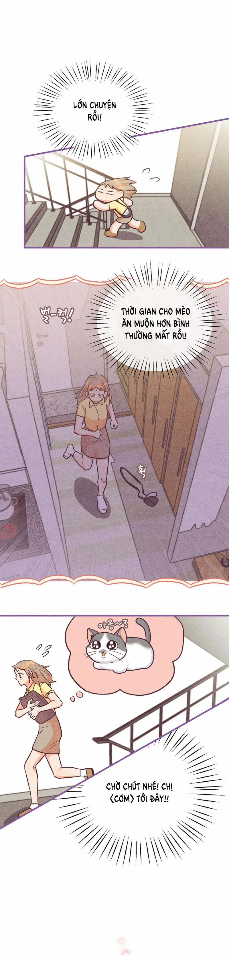 Chạy Đâu Cho Thoát 43.5 trang 8