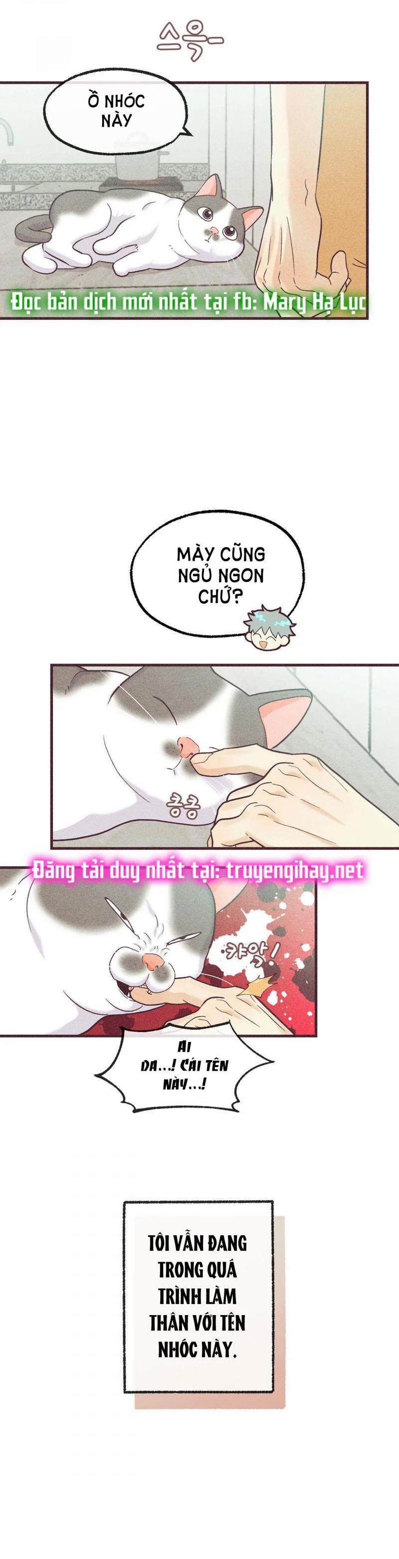 Chạy Đâu Cho Thoát 47.5 trang 5