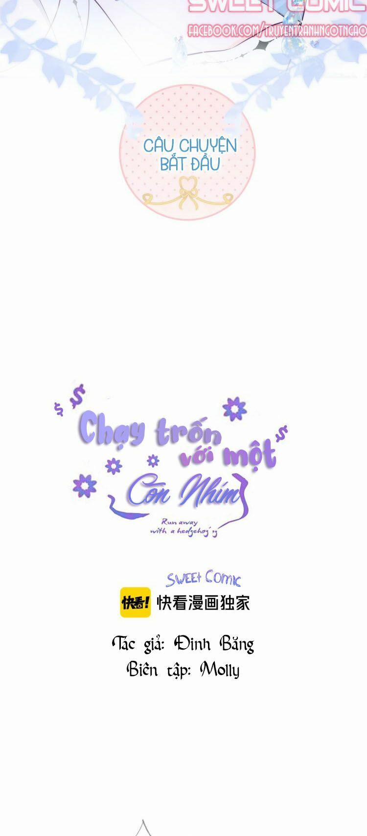 Chạy Trốn Cùng Con Nhím 1 trang 9