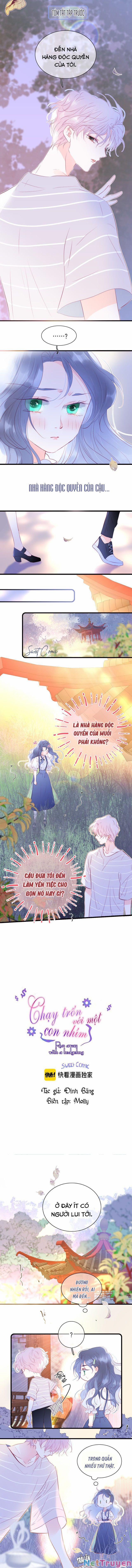 Chạy Trốn Cùng Con Nhím 10 trang 0