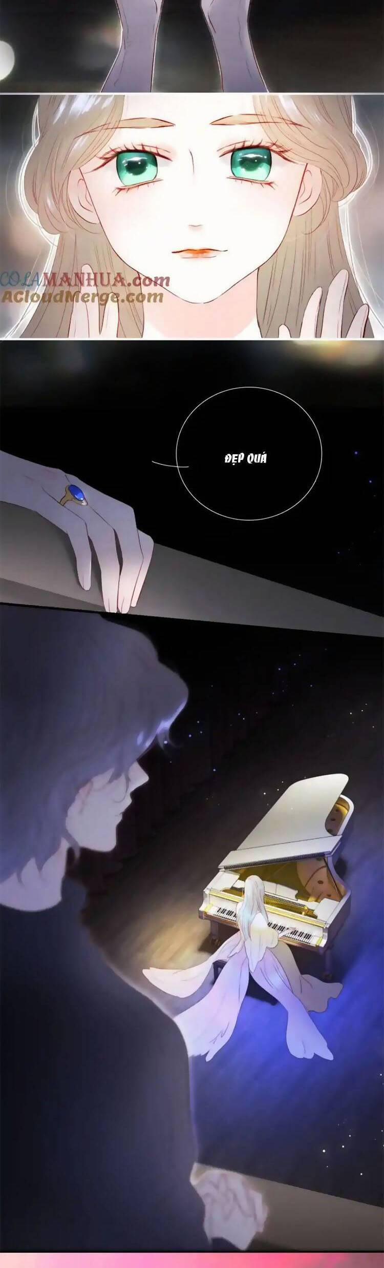 Chạy Trốn Cùng Con Nhím 103.7 trang 12