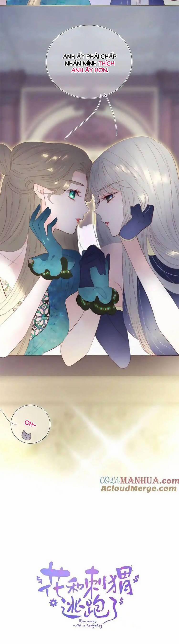 Chạy Trốn Cùng Con Nhím 103.7 trang 3