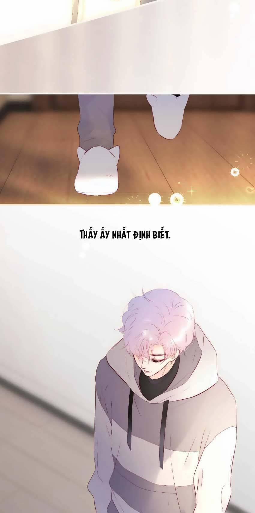 Chạy Trốn Cùng Con Nhím 88 trang 14