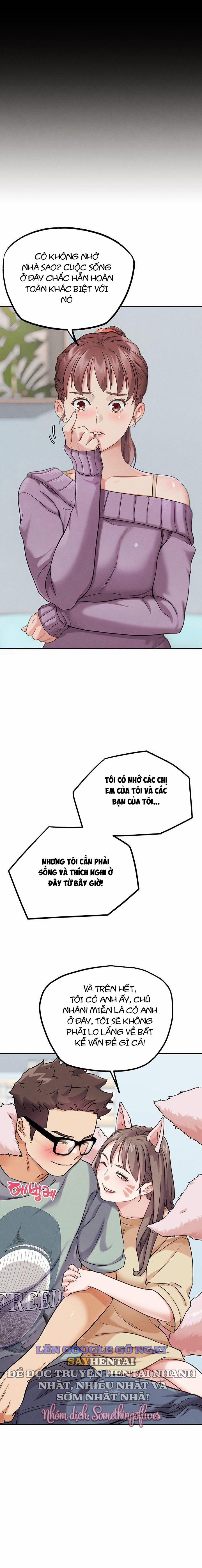 Chế Độ Đối Kháng Đời Thực 17 trang 11