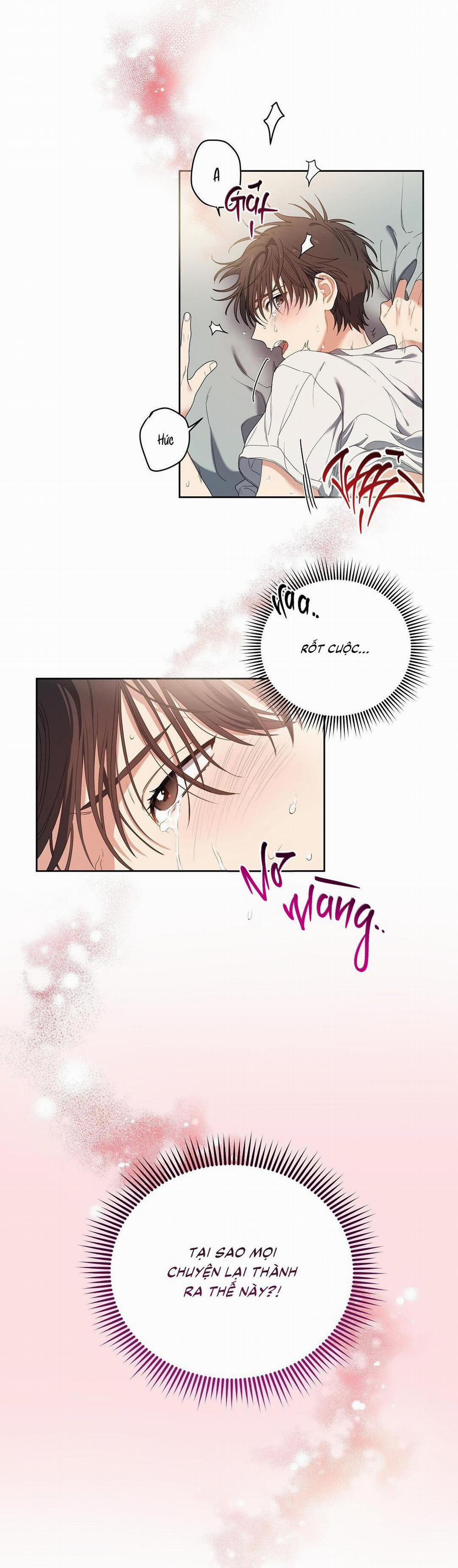 Cherry Cake 1 H+ trang 12