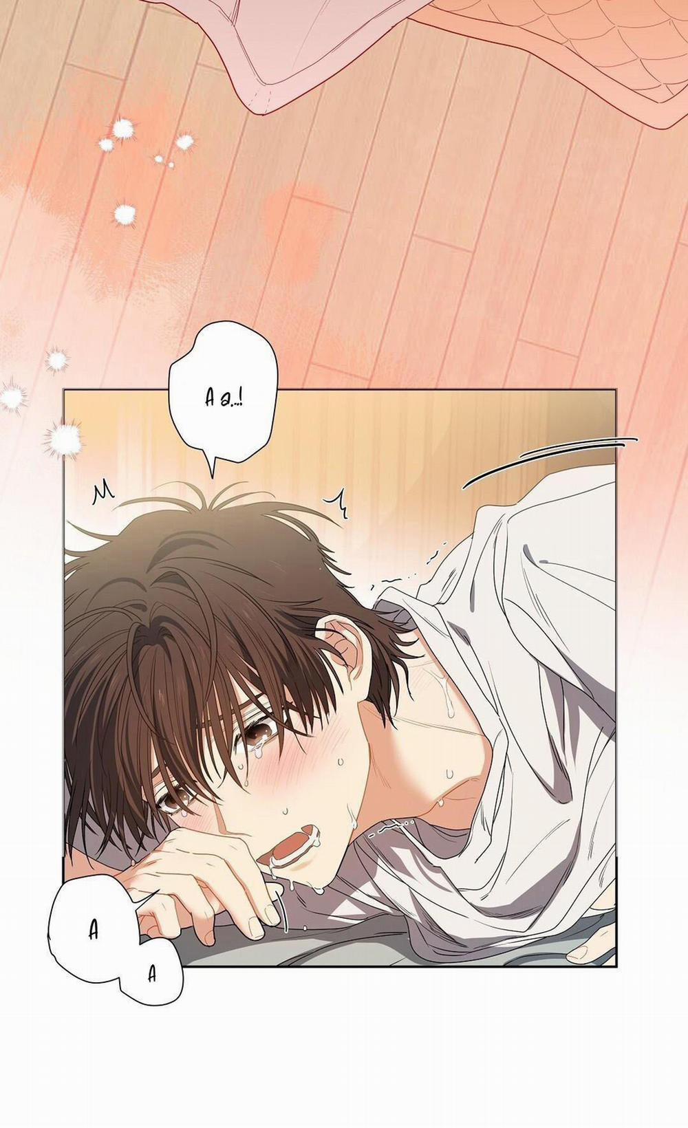 Cherry Cake 1 H+ trang 2