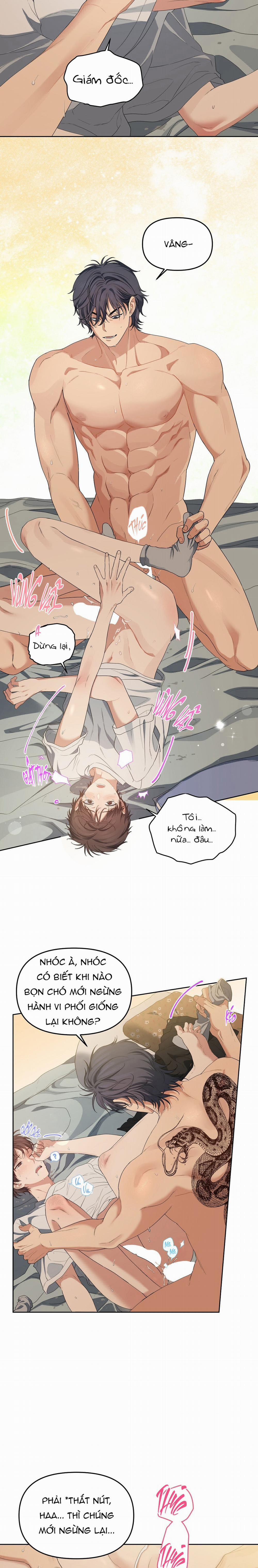 Cherry Cake 20 trang 8