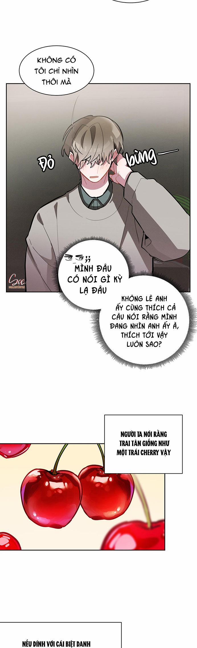 Cherry Scandal 3 trang 25