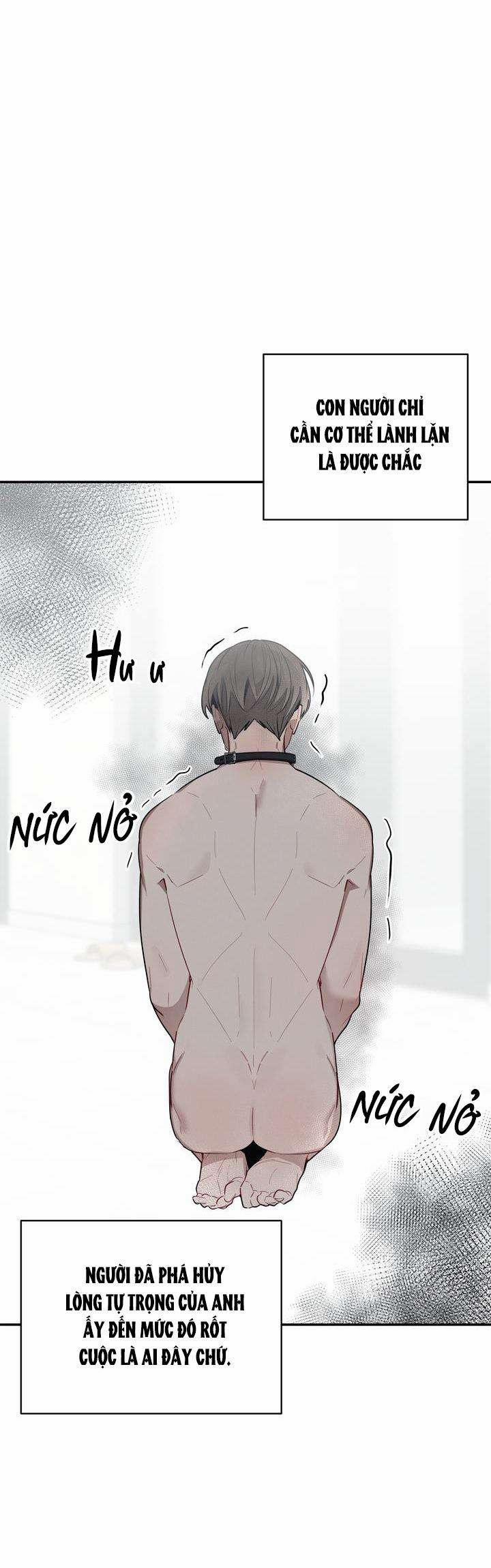 Cherry Scandal 37 trang 30