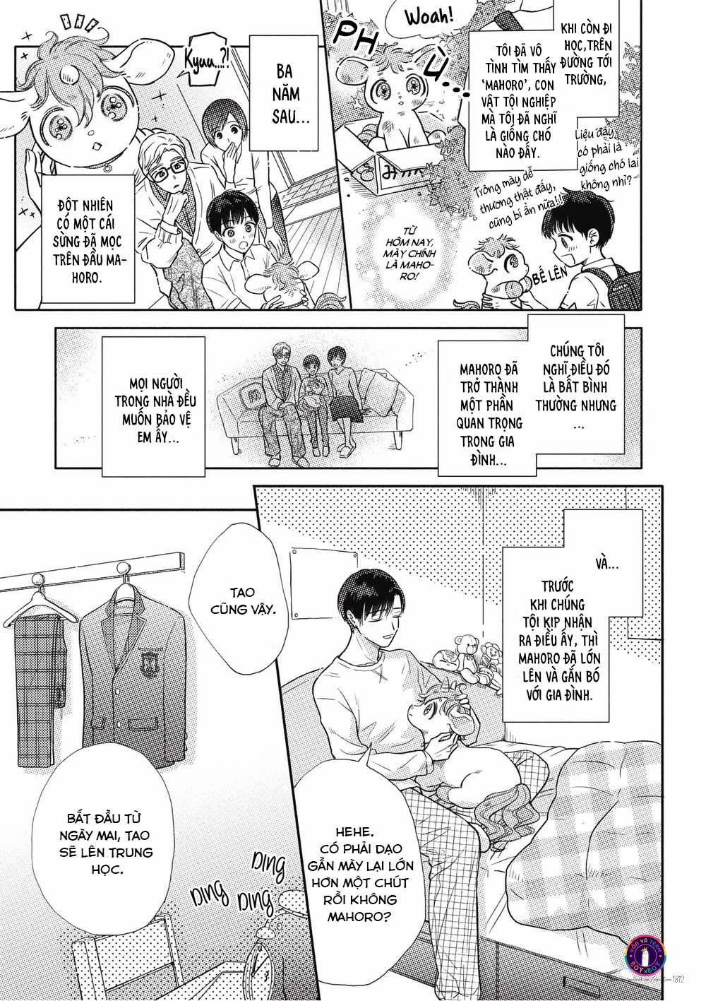 Cherry to Unicorn (END) 1 trang 4