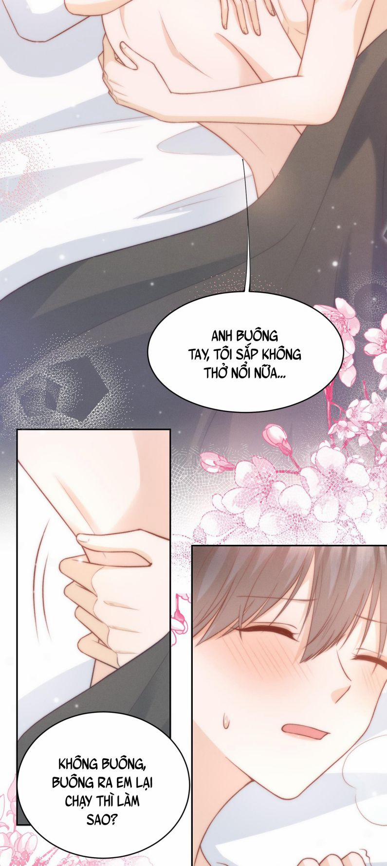 Chỉ Dẫn Ngược Sáng 26 trang 11