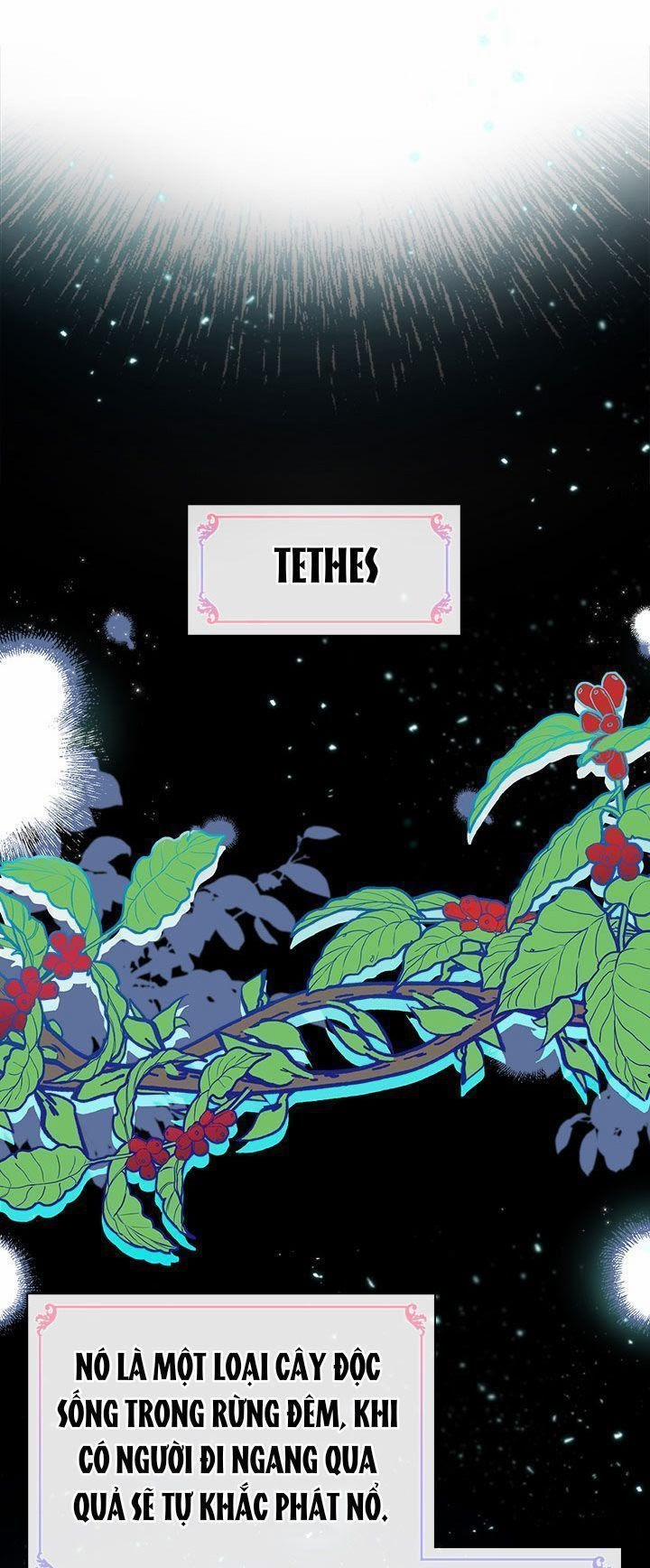 Chị Tôi Đã Nhặt Về Một Nam Chính Quyến Rũ 11 trang 31