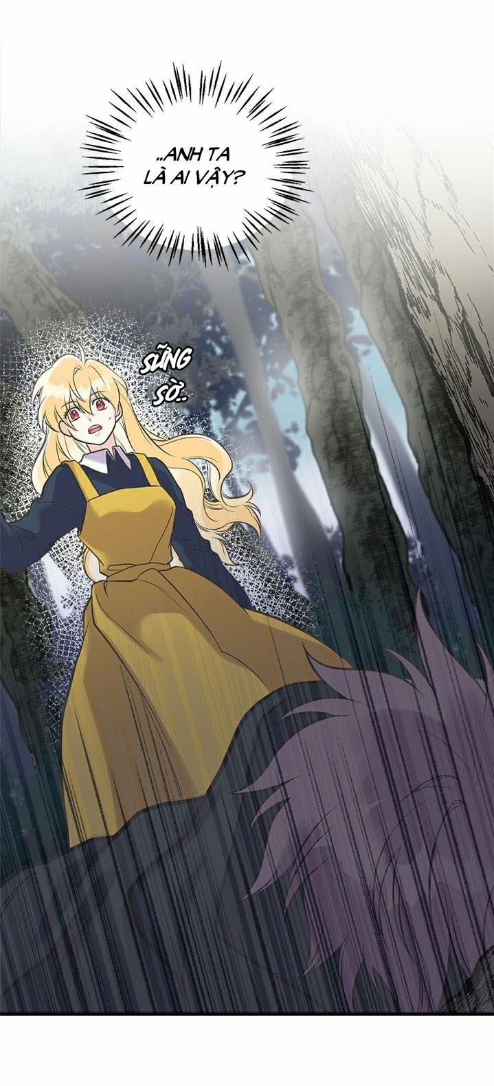 Chị Tôi Đã Nhặt Về Một Nam Chính Quyến Rũ 24 trang 11