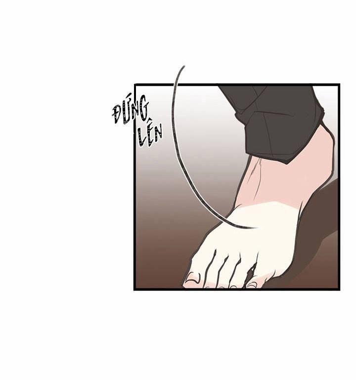 Chị Tôi Đã Nhặt Về Một Nam Chính Quyến Rũ 3 trang 50