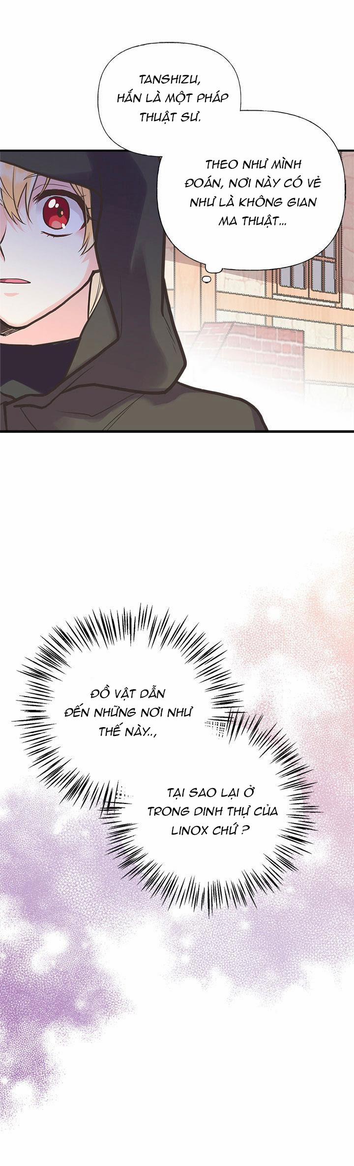 Chị Tôi Đã Nhặt Về Một Nam Chính Quyến Rũ 37 trang 8