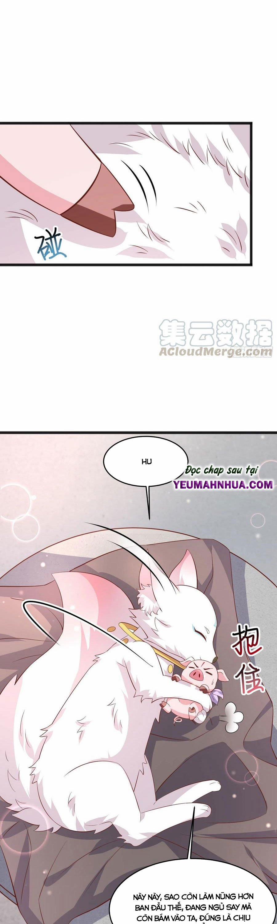 Chi Tôn Đồng Thuật Sư: Tuyệt Thế Đại Tiểu Thư 224 trang 3