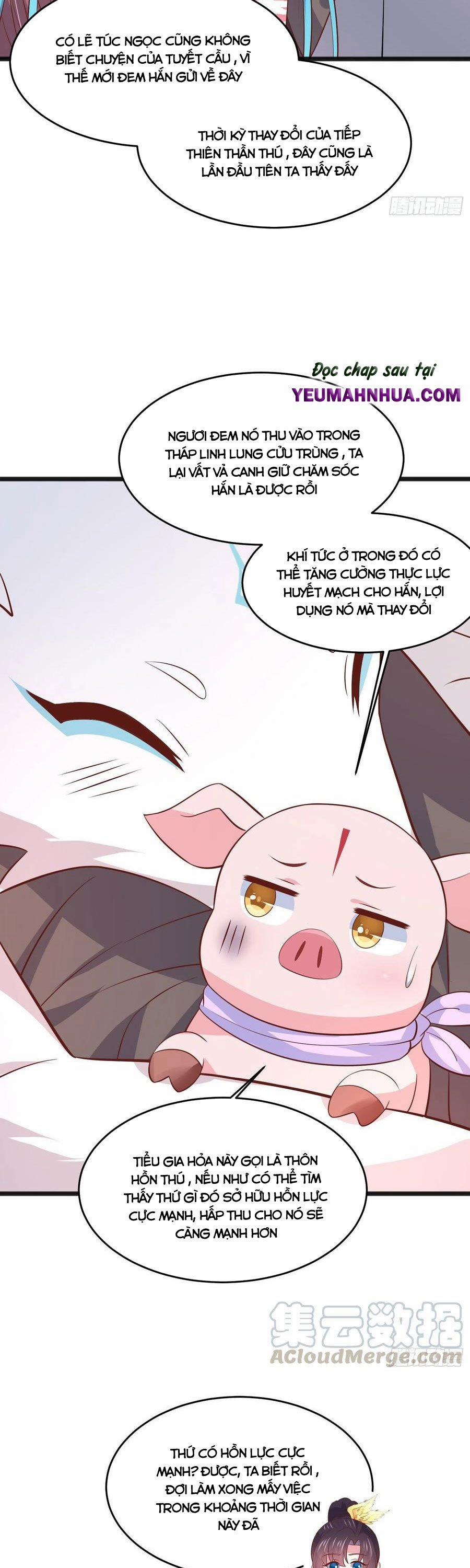 Chi Tôn Đồng Thuật Sư: Tuyệt Thế Đại Tiểu Thư 224 trang 7