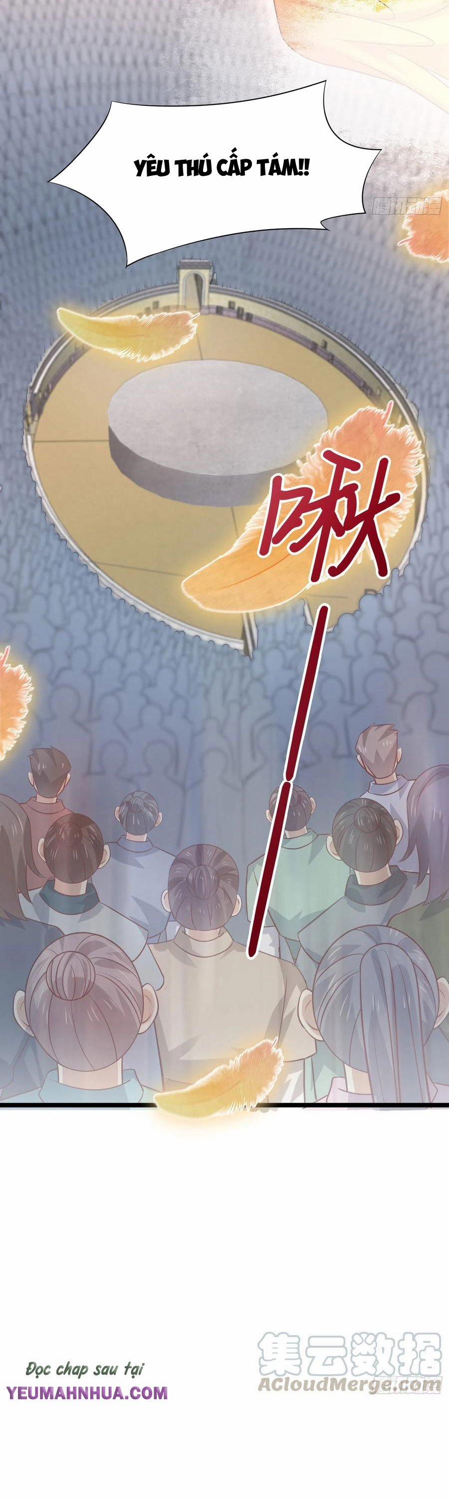 Chi Tôn Đồng Thuật Sư: Tuyệt Thế Đại Tiểu Thư 233 trang 3