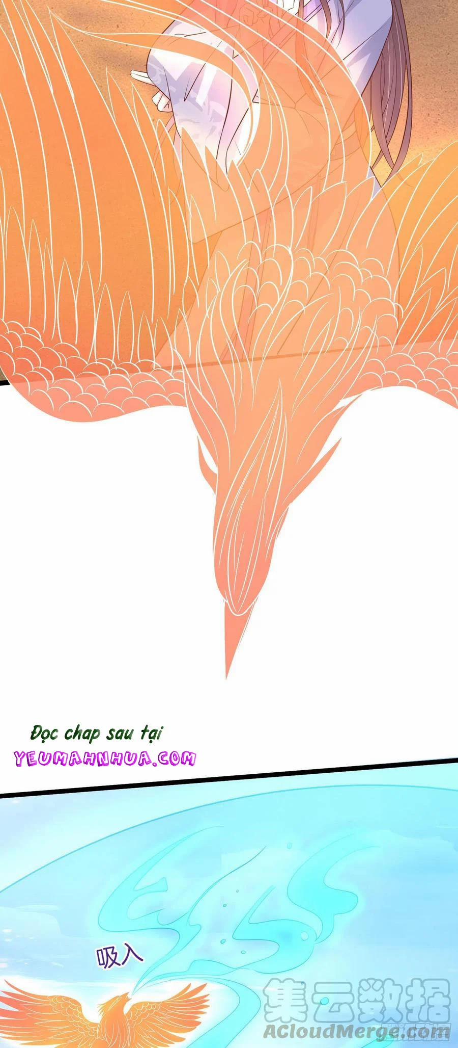 Chi Tôn Đồng Thuật Sư: Tuyệt Thế Đại Tiểu Thư 238 trang 22