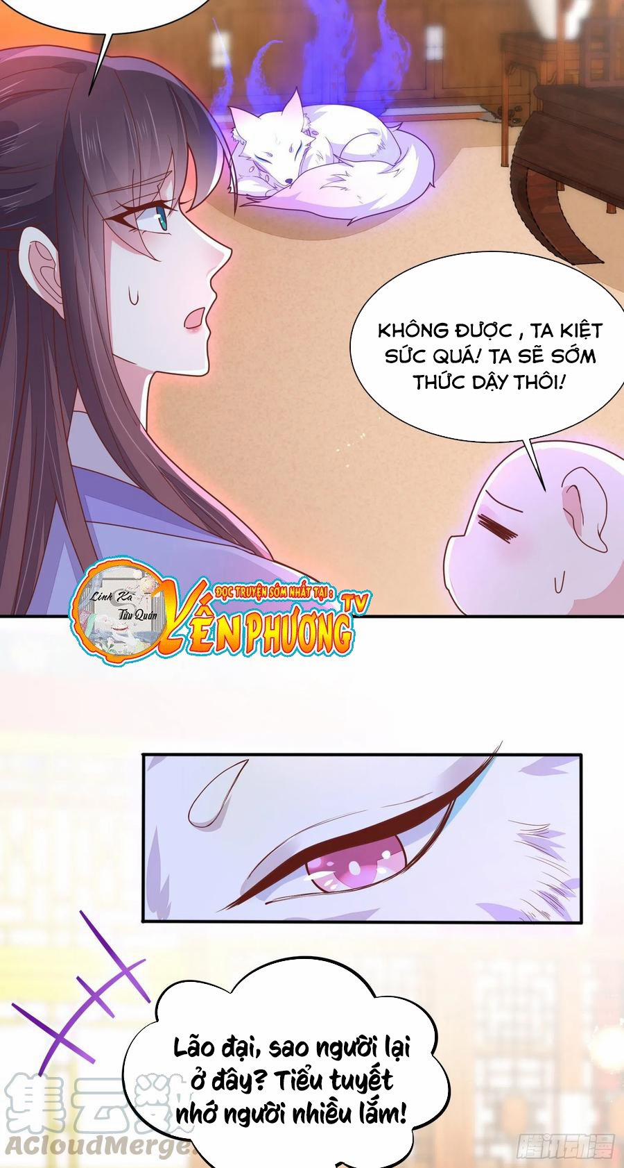 Chi Tôn Đồng Thuật Sư: Tuyệt Thế Đại Tiểu Thư 242 trang 29