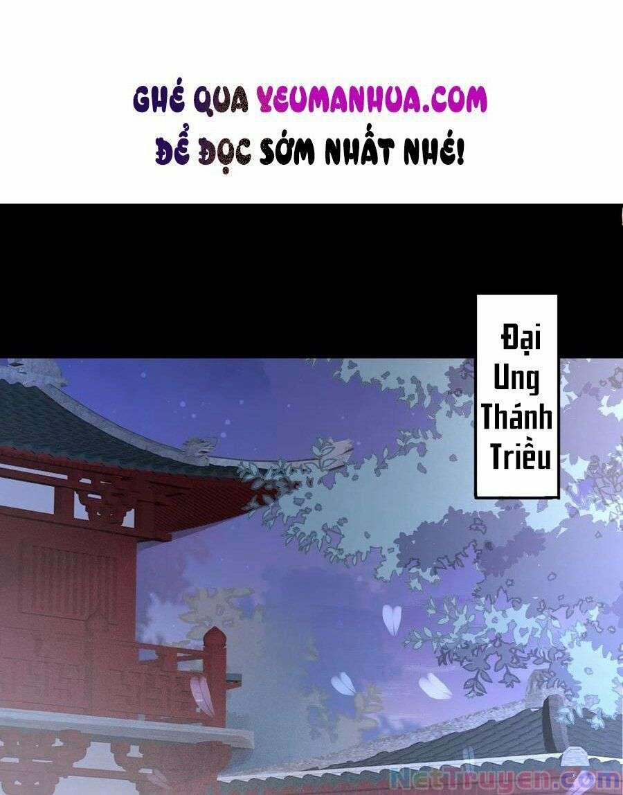 Chi Tôn Đồng Thuật Sư: Tuyệt Thế Đại Tiểu Thư 250 trang 0