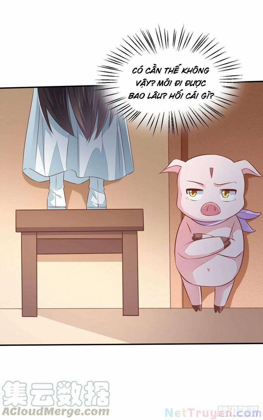 Chi Tôn Đồng Thuật Sư: Tuyệt Thế Đại Tiểu Thư 256 trang 41