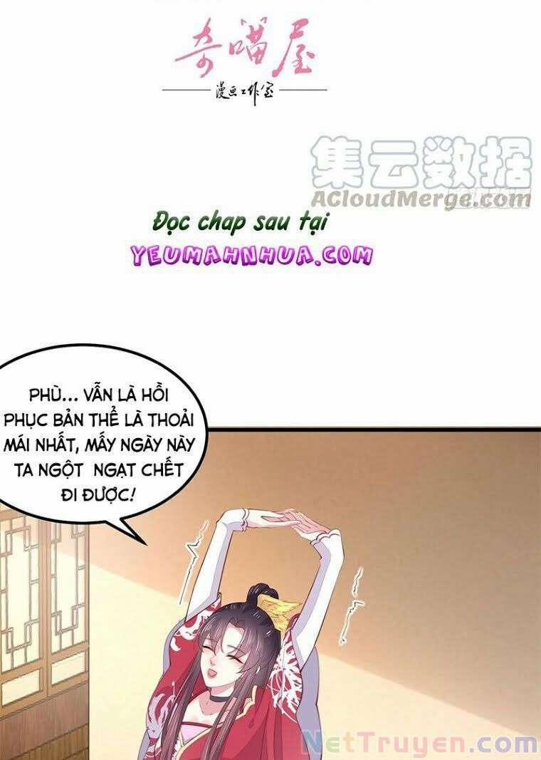 Chi Tôn Đồng Thuật Sư: Tuyệt Thế Đại Tiểu Thư 261 trang 1