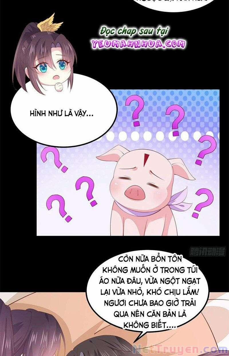 Chi Tôn Đồng Thuật Sư: Tuyệt Thế Đại Tiểu Thư 265 trang 12