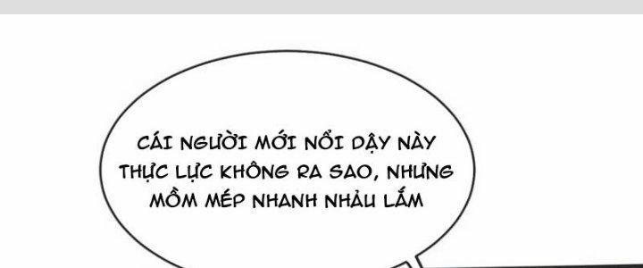 Chí Tôn Hoàn Mỹ 17 trang 0