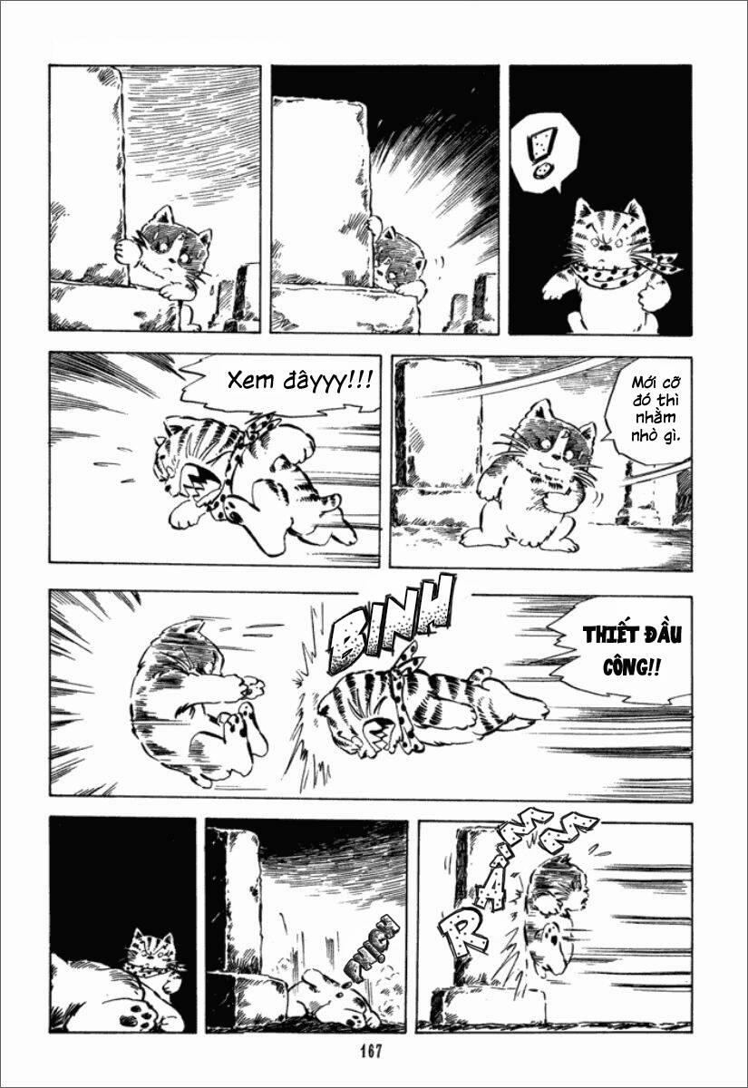 Chie - Cô Bé Hạt Tiêu 20 trang 19