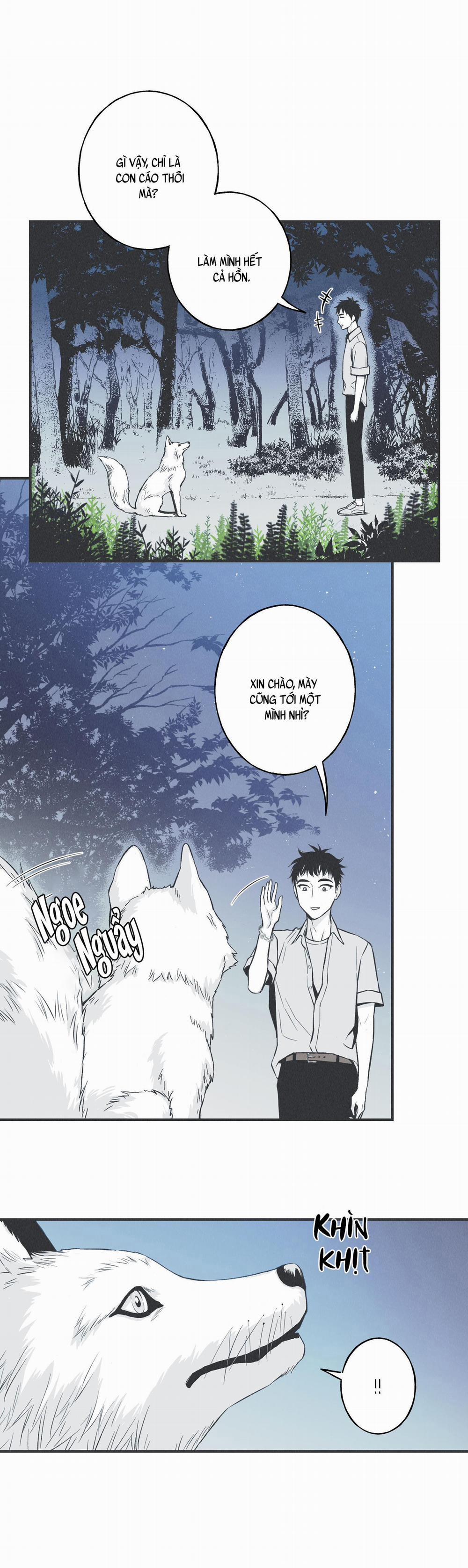 CHIẾC VÒNG CỦA RẮN 5 trang 20