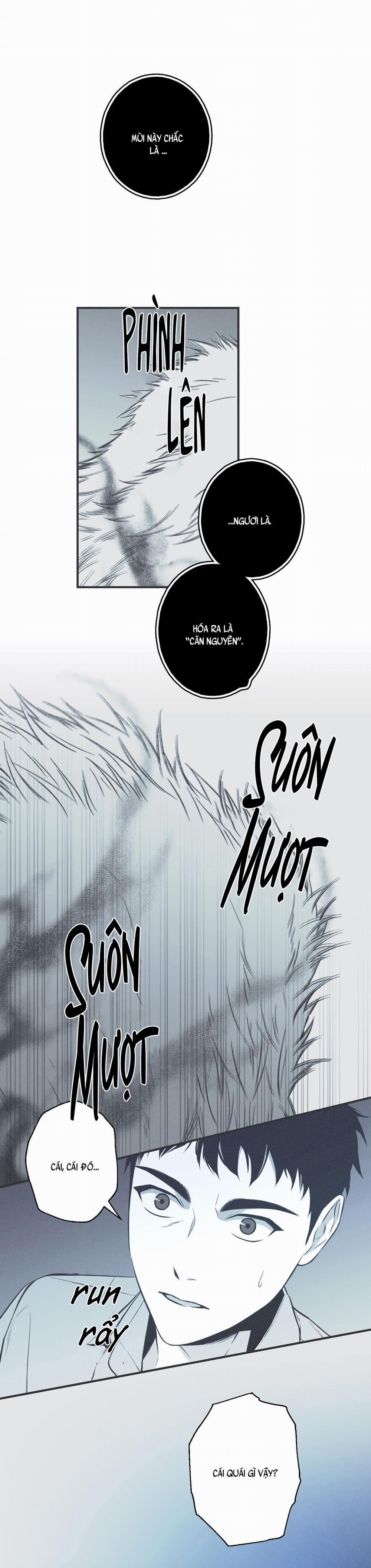 CHIẾC VÒNG CỦA RẮN 5 trang 21